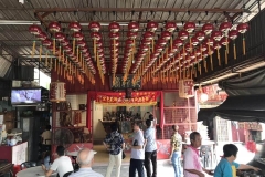 北马-20